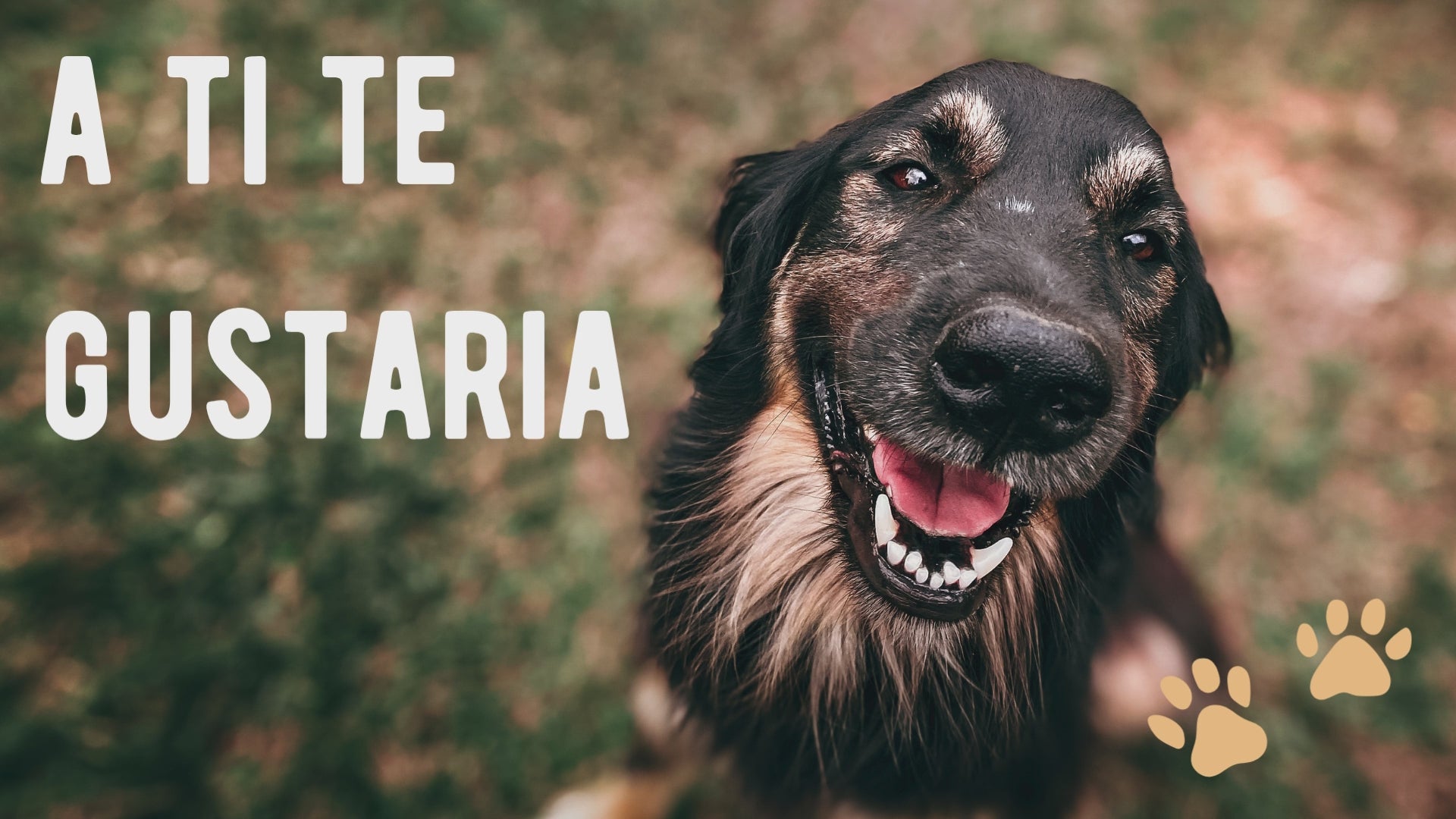 Cargar video: 