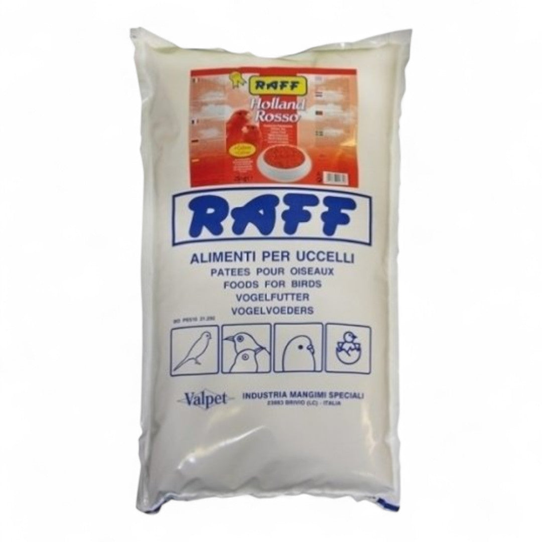 Raff Holland Rosso
