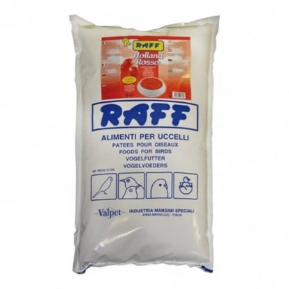 Raff Holland Rosso