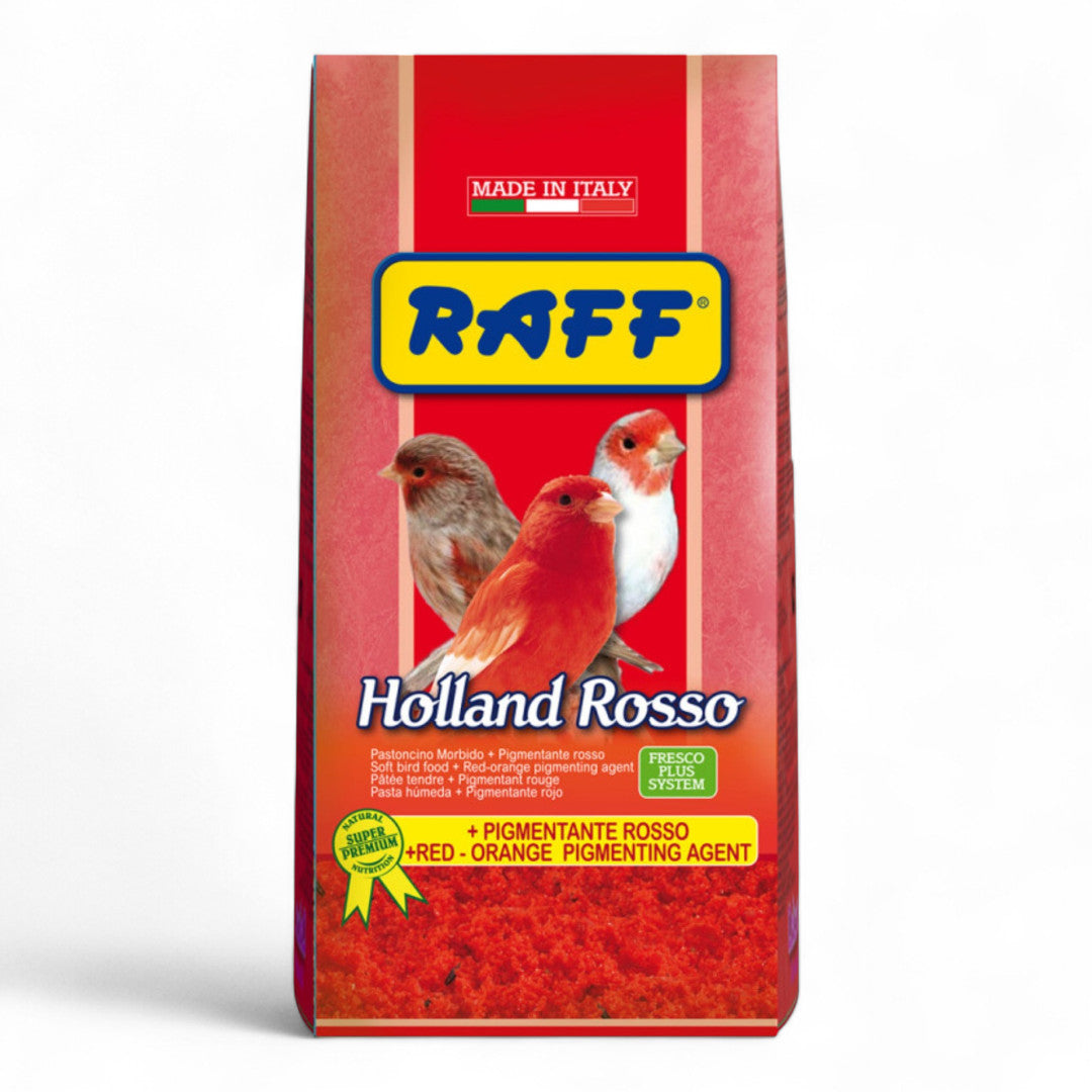 Raff Holland Rosso