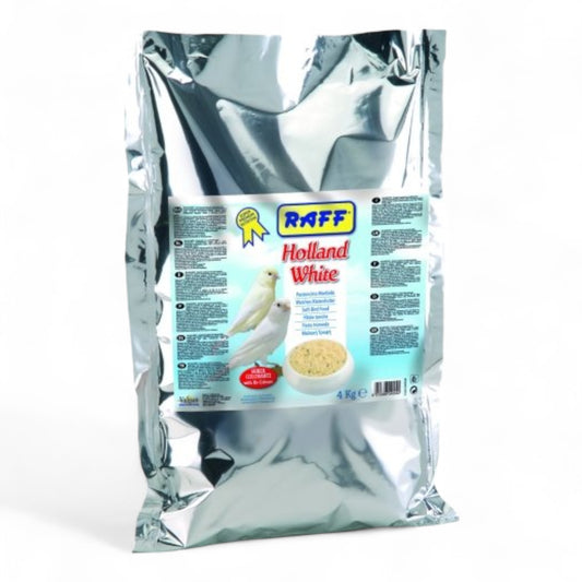 Raff Holland White Pasta de Cría