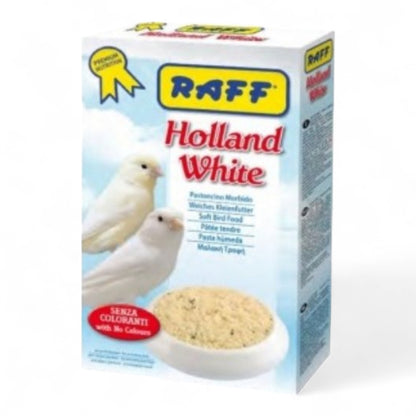 Raff Holland White Pasta de Cría