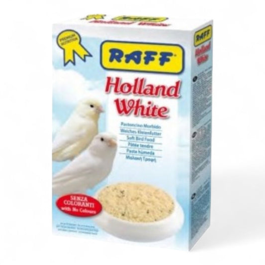 Raff Holland White Pasta de Cría