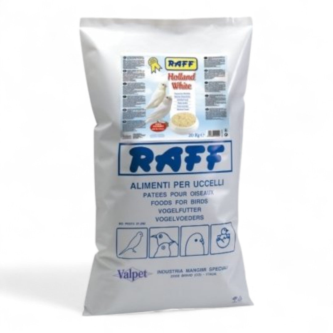 Raff Holland White Pasta de Cría