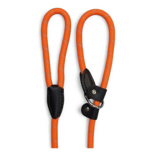 Tirador y Collar Nylon Reflectante Arquivet para Perros