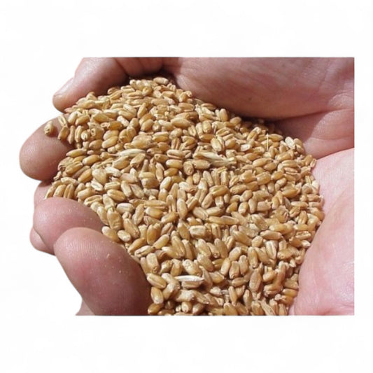 Trigo 5 Kg.prodac